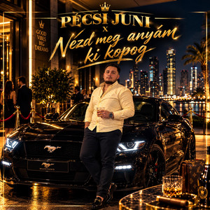 Nézd Meg Anyám Ki Kopog by Pécsi Juni