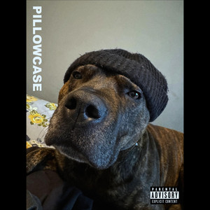 Pillowcase by Eryx Soul