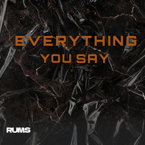 Everything You Say by Rums