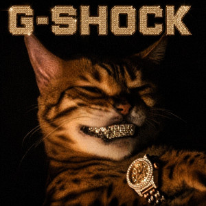 G-SHOCK by renzoe