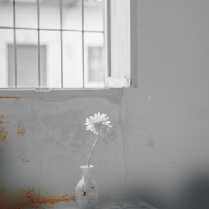 white and gray by Jeynrain