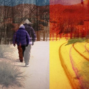 Portada de Chemin