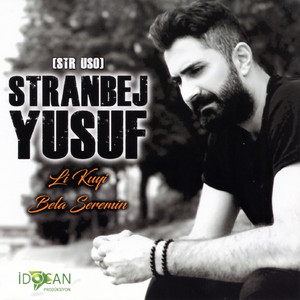 Disa Tu Ketiye Biramin by Stranbej Yusuf