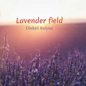 Lavender field