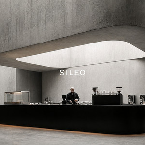 When Water Learns the Shape of Stone by SILEO