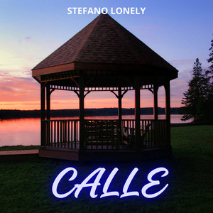Calle by Stefano Lonely