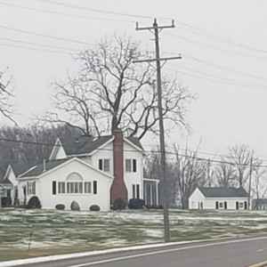 New Bark Town - Bulletin My Back