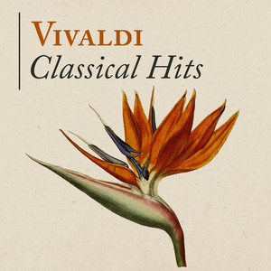 Concerto No. 1 in C Major for Mandolin and Strings, RV 425: I. Allegro