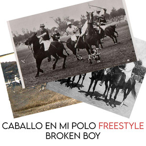 Caballo en Mi Polo Freestyle