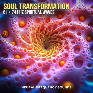 61 Hz + 741 Hz The Past Loosens Its Grip by NFS Official
