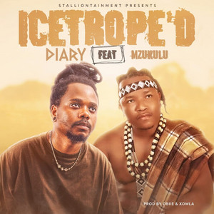 Diary - Icetrope'D (feat. Mzukulu)