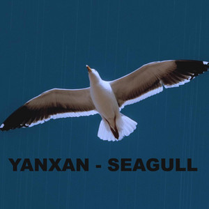 YANXAN - Seagull / თოლია