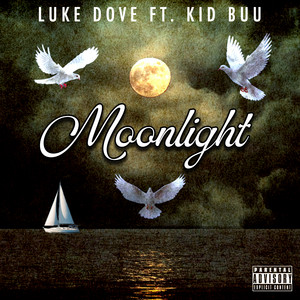 Moonlight by Luke Dove, Kid Buu