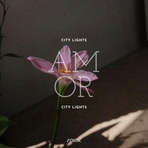 CITY LIGHTS by ZORIK