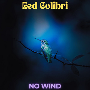 Pretty Shifty by Red Colibri