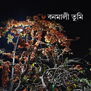 Kamalino Kilo Bravo - কান্দে হাসন রাজার মনময়নারে