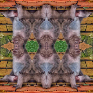 Frostline by The Lost Emerald Tablet