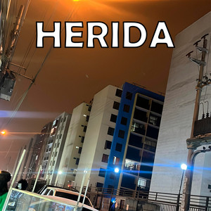Herida by Diego Villalobos Acevedo