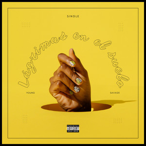 Lágrimas by Young Savage