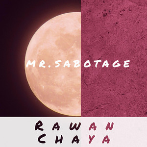 mr. sabotage