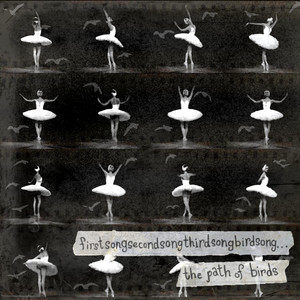 Dissection and Decomposition by The Path Of Birds