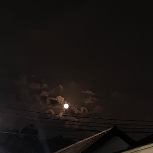 Untuk Kita, Selamanya.
