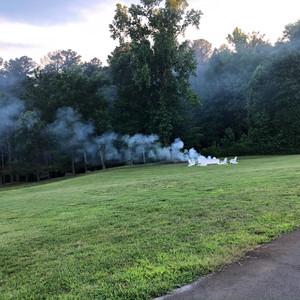 Vinaigrette Daydreams