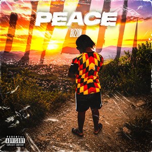 PEACE by Bizon