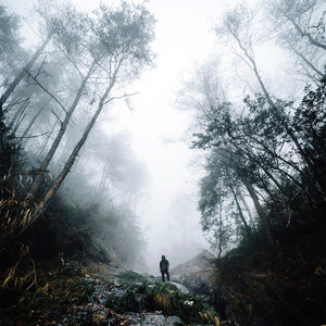 BITWVLF - Without Me