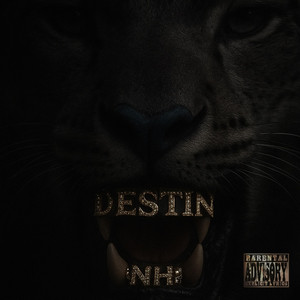 NH93 - Destin
