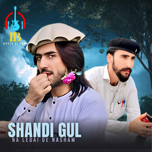 Shandi Gul - Na Ledai de Nasham