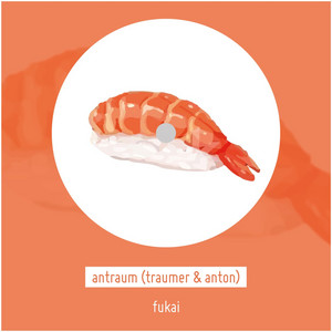 Fukai - Original Mix by Traumer, Anton, antraum