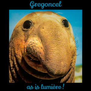 Gregoncel - Jack Powegon