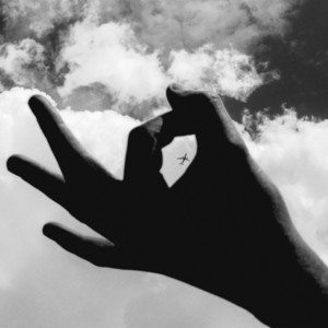 A Hand Has Fingers