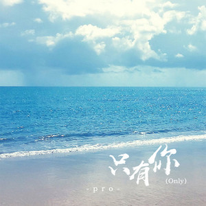 只有你 by pro
