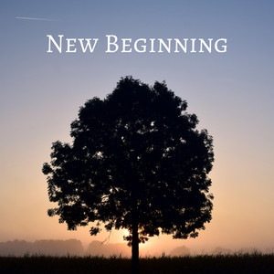 Ruud Janssen - New Beginning