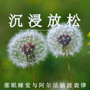 沉浸放鬆 催眠睡覺與阿爾法腦波旋律