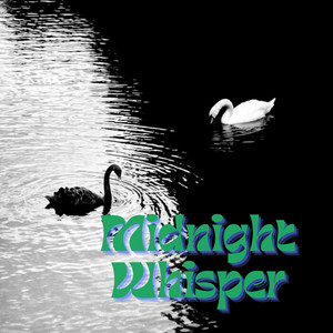Bumble - Midnight Whisper