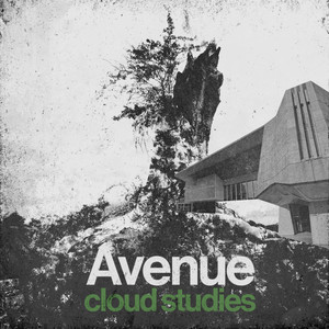 Avenue by Cloud Studies
