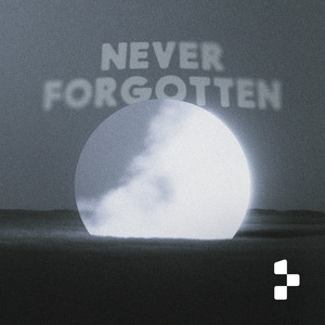 NEVER FORGOTTEN by trabbey