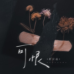 可恨 by 杜宣达