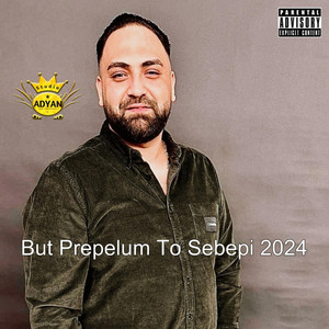 Studio Adyan - Muhamed Meety But Prepelum To Sebepi 2024
