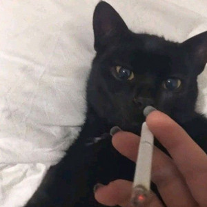 dreamsoda - I Wouldn't Mind (Acoustic)