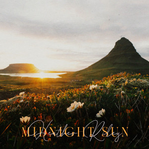 Midnight Sun by Heather Riley