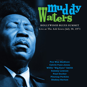 Hollywood Blues Summit 1971 album