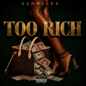 Too Rich by Saddious, Dj Brownin