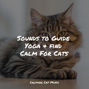 Sounds to Guide Yoga & find Calm For Cats album