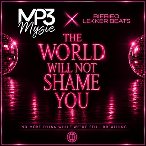 The world will not shame you by MP3Mysie, BieBieQ Lekker Beats