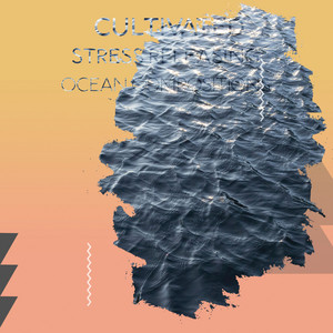 zZz Cultivated Stress Releasing Ocean Compositions zZz album