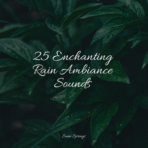 25 Enchanting Rain Ambiance Sounds album